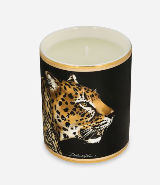 LEOPARDO -CANDLE D&G0016