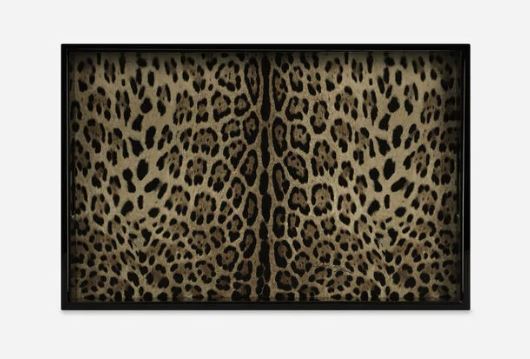 LEOPARDO  -TRAY D&G006
