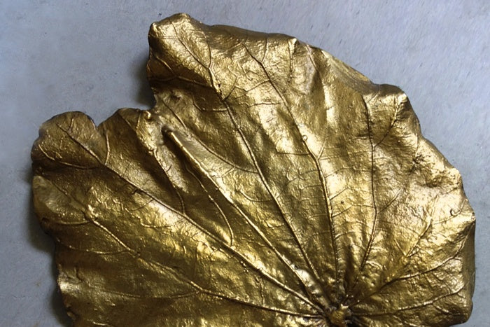 BAUHINA LEAF G4 & B4