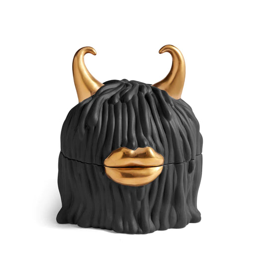 Haas Lynda Box + Plates (Set of 4) - Black